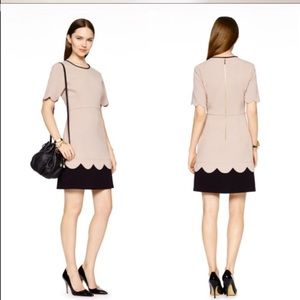 Kate Spade Sponge Crepe Scalloped Dress